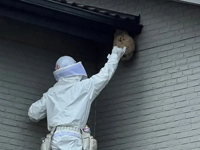 累計五千件の実績◎経験11年のプロが高所や屋根裏も徹底対応。最短当日駆けつけますサービスの画像