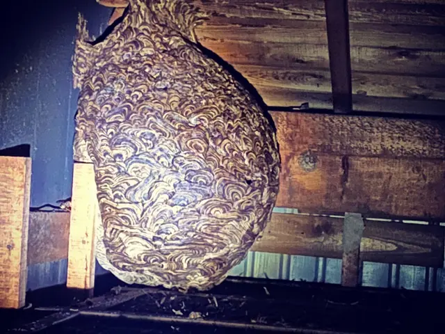 累計五千件の実績◎経験11年のプロが高所や屋根裏も徹底対応。最短当日駆けつけますサービスの画像