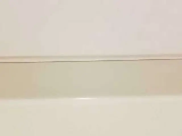 ☆臭いの元を除去☆キャンペーン中にて早い者勝ち☆プロの技をぜひサービスの画像