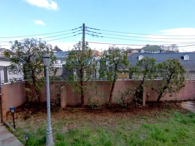 植木屋ふくちゃん！「1、２本だけ、とにかく短く～」そんなご依頼もOKです！サービスの画像