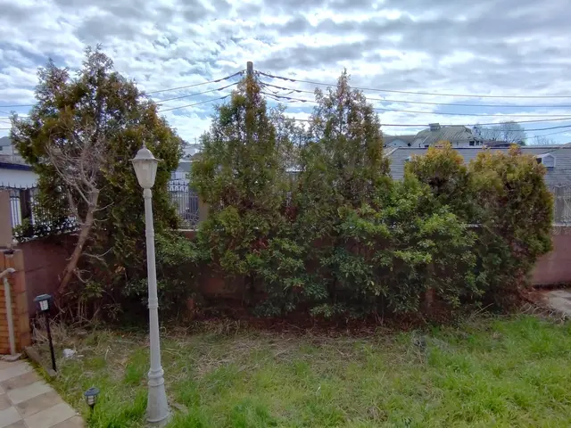 植木屋ふくちゃん！「1、２本だけ、とにかく短く～」そんなご依頼もOKです！サービスの画像