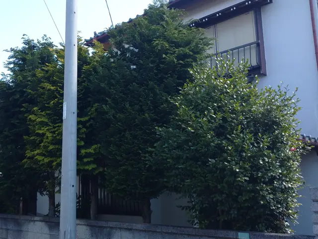 植木屋ふくちゃん！「1、２本だけ、とにかく短く～」そんなご依頼もOKです！サービスの画像