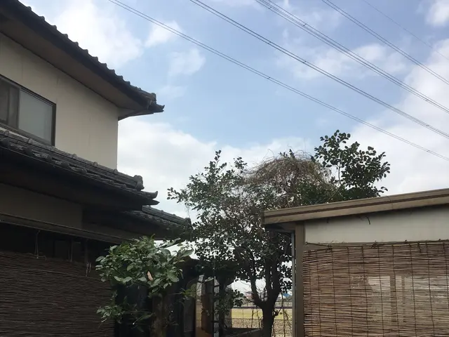 樹木の伐採抜根のことなら幸楽園にお任せを！お見積り無料です。お気軽にご相談下さいサービスの画像