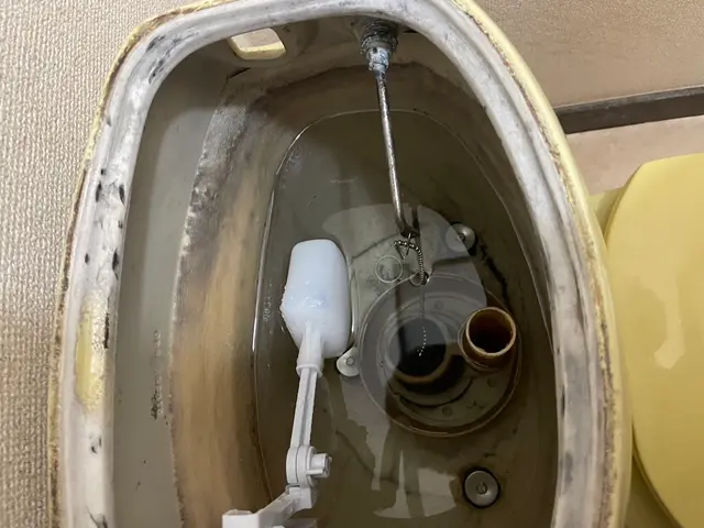 トイレから聞こえるポタポタ　水漏れを解決サービスの画像