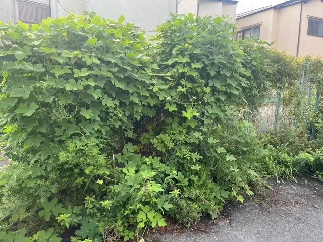 プロの技術でご満足いただけるように心を込めて作業いたしますサービスの画像