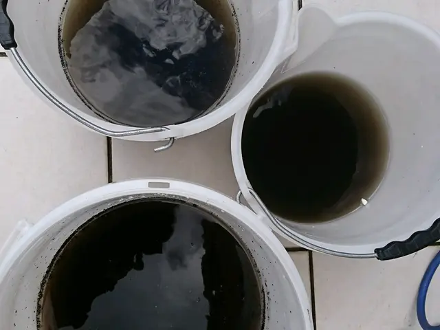 女性スタッフ非喫煙者対応！実務経験12年！複数台割引あり！サービスの画像