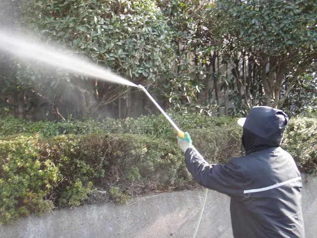 創業50年歴史ある造園業者(駐車場代店負担/女性スタッフ同行可/保険加入済)サービスの画像
