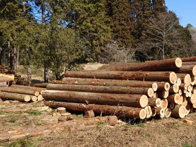 【業歴40年！大ベテラン店舗】経験と実績の当店にお任せを！駐車代お店負担！サービスの画像
