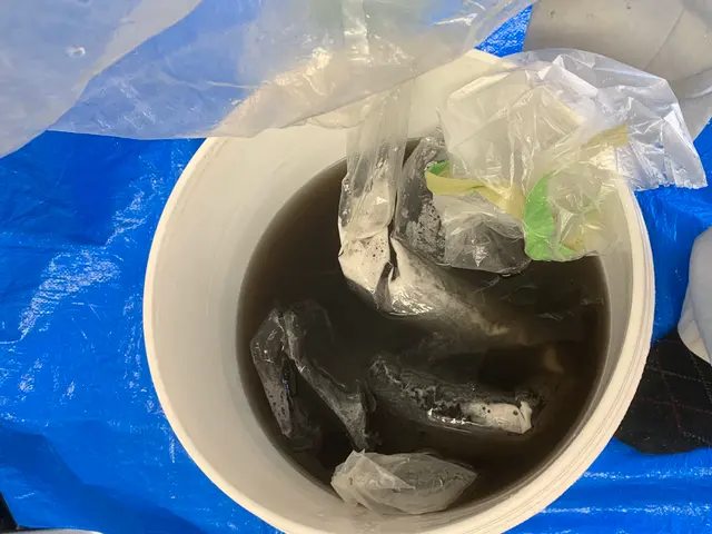 年中無休◇エコ洗剤使用！エアコンの隅々まで高圧洗浄！お掃除ロボット付きも対応OKサービスの画像