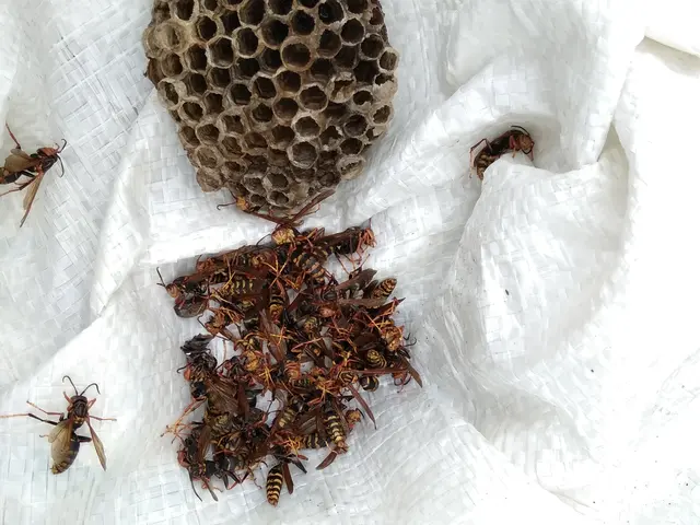 【業歴20年の経験と実績】年中無休・外注なし全て自社対応！お任せください！サービスの画像