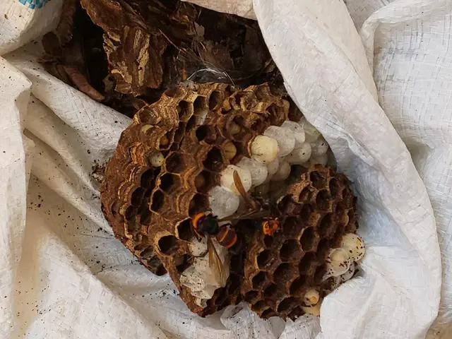 【業歴20年の経験と実績】年中無休・外注なし全て自社対応！お任せください！サービスの画像