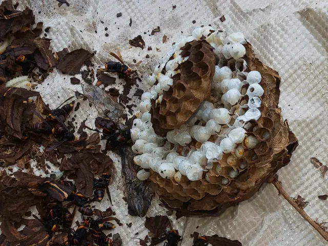 【業歴20年の経験と実績】年中無休・外注なし全て自社対応！お任せください！サービスの画像