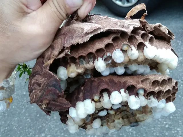 【業歴20年の経験と実績】年中無休・外注なし全て自社対応！お任せください！サービスの画像