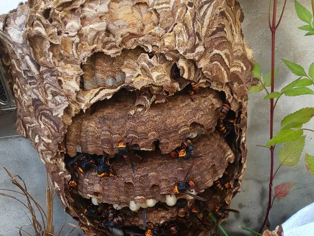 【業歴20年の経験と実績】年中無休・外注なし全て自社対応！お任せください！サービスの画像