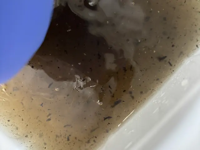 ピーク前早割り|ノーマルエアコン9,000円|今なら無料で防カビ仕上げ|複数割有サービスの画像