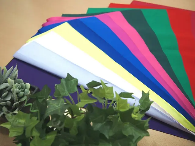 ◆福岡市近郊中心◆パーソナルカラー・骨格診断などアドバイスあり◆お悩み解決！サービスの画像