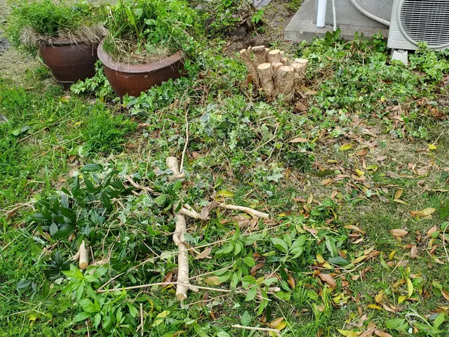 業界歴16年！仕上がり重視で丁寧に施工！お気軽にご相談ください！サービスの画像