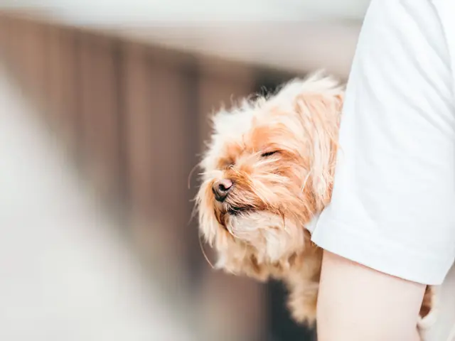 【未来へのラブレター】大好きを伝えたい親御さんへ
