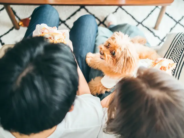 【未来へのラブレター】大好きを伝えたい親御さんへ