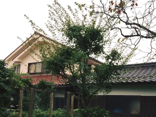 女性店長がお伺い◎2名体制も可◎自然の樹形を生かした丁寧な庭づくり・メンテナンスサービスの画像