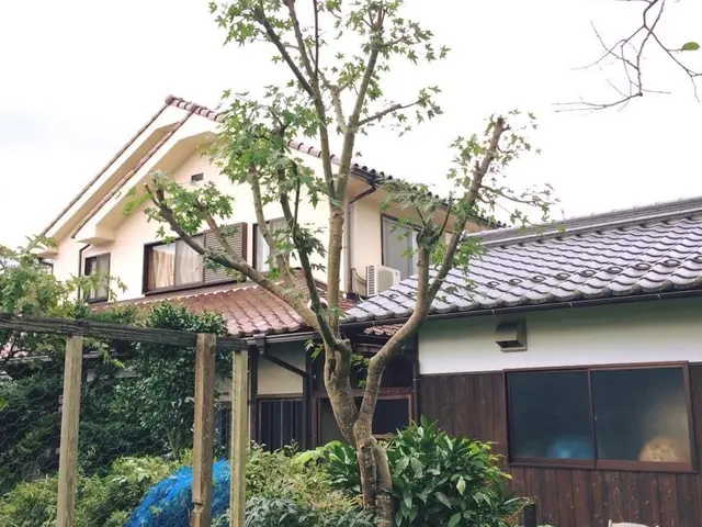 女性店長がお伺い◎2名体制も可◎自然の樹形を生かした丁寧な庭づくり・メンテナンスサービスの画像