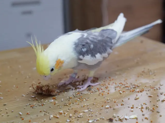 ライカで撮影！モニター募集！L版アルバム20枚印刷プレゼント中『先着順』