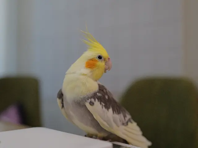 ライカで撮影！モニター募集！L版アルバム20枚印刷プレゼント中『先着順』