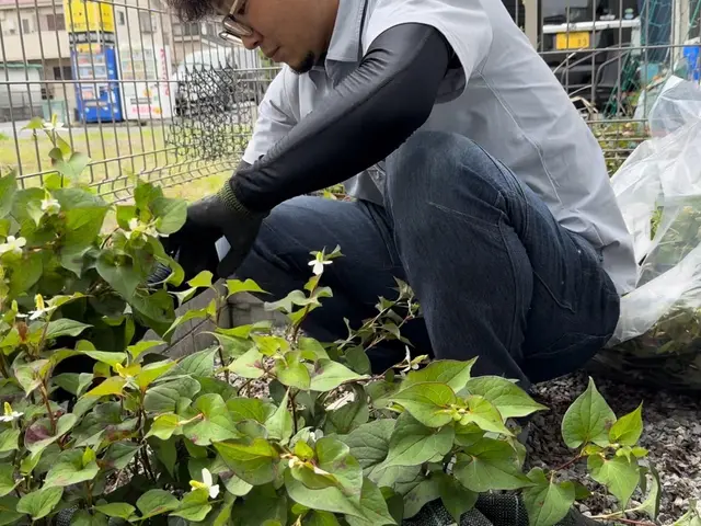 9月空きあります。草取り後の防草シート敷きオススメです！サービスの画像