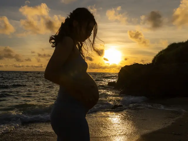 あなたに会えるまでサービスの画像