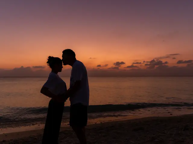 あなたに会えるまで