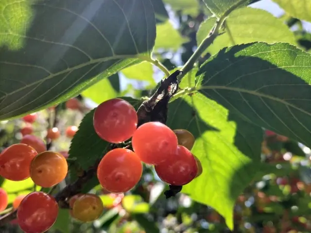 ◆◇12月新規出店◇◆お客様の期待に気持ちで応える！コミュニケーション◎サービスの画像