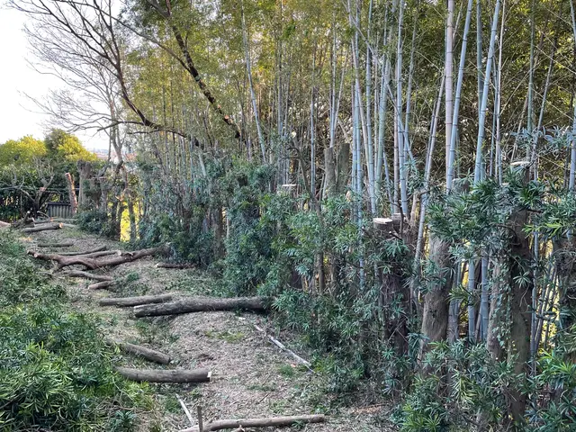 仕上がり重視で丁寧に施工いたします◎アフターフォローも万全サービスの画像