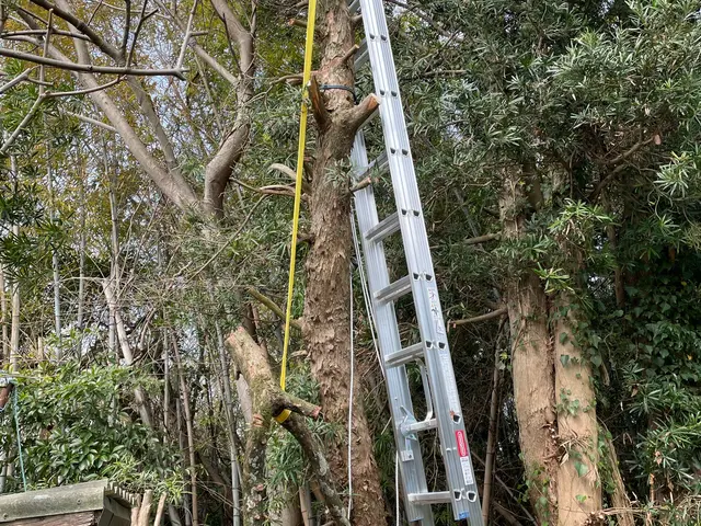 仕上がり重視で丁寧に施工いたします◎アフターフォローも万全サービスの画像