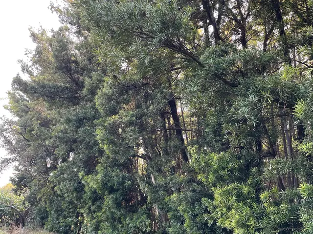 仕上がり重視で丁寧に施工いたします◎アフターフォローも万全サービスの画像