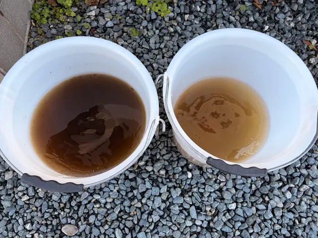 NEW open♪ 女性スタッフ在籍なので女性の一人暮らしも安心。複数台でお得！サービスの画像