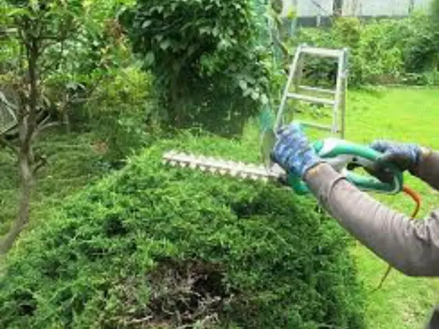 《年中無休・損害保険加入済み！》お庭をスッキリ美しく仕上げます◎サービスの画像