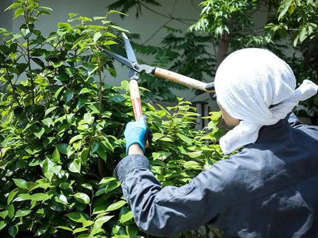 《年中無休・損害保険加入済み！》お庭をスッキリ美しく仕上げます◎サービスの画像