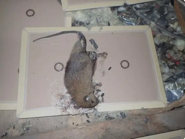 【駐車代は当店が負担】営業時間外も対応可能◎アフターフォローも万全サービスの画像