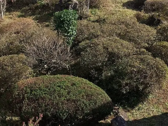 【地域密着】福島市から伺います。お家のお困りごとご相談ください！サービスの画像