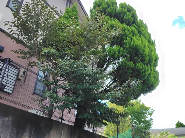 【地域密着】福島市から伺います。お家のお困りごとご相談ください！サービスの画像