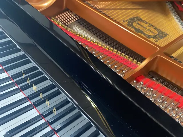 ピアノ調律・メンテナンスのプロにお任せ！丁寧な作業を心がけています♩土日祝のみサービスの画像