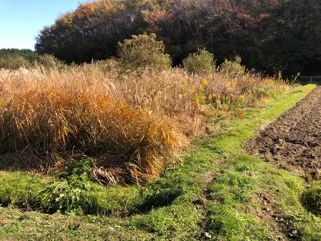 【年中無休！損害保険加入済み◎】営業時間外・対応地域外でもご要望お聞きします！サービスの画像