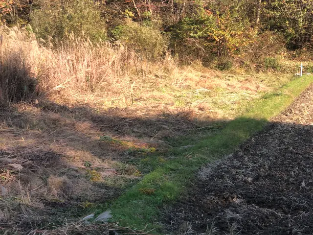 【年中無休！損害保険加入済み◎】営業時間外・対応地域外でもご要望お聞きします！サービスの画像