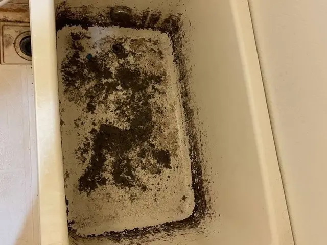 空室クリーニング　退去前　退去後　お引越し前などに！サービスの画像