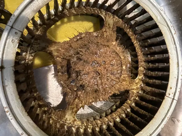 本格的な冬が始まる前に◎汚れの落ちが変わる時期に早めのレンジフード清掃がオススメサービスの画像