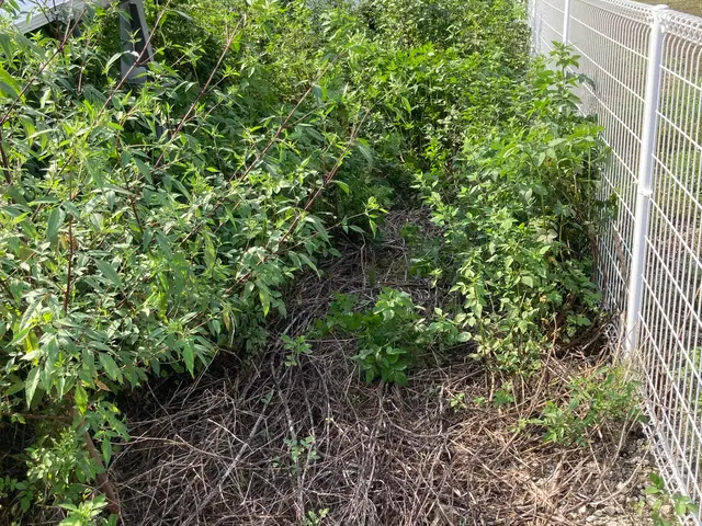 まずはご相談ください。お見積もりから的確にご対応いたします。サービスの画像