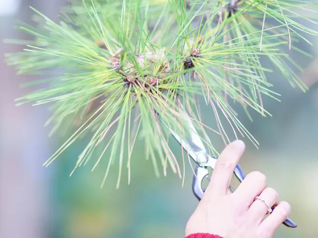 【ドッグラン管理業者！芝の専門知識、芝専門業者の人脈も強みです！】サービスの画像