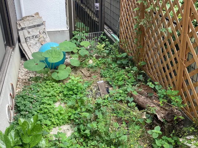 【女性スタッフ同行可能】大手での作業経験あります◉サービスの画像