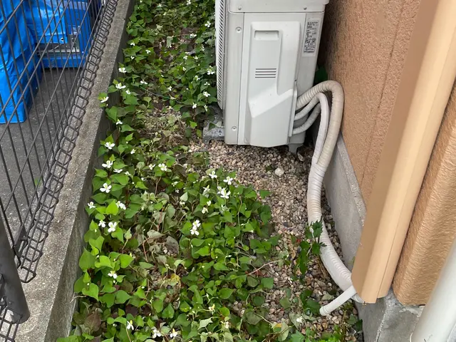 【女性スタッフ同行可能】大手での作業経験あります◉サービスの画像