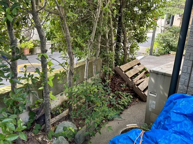 専門店の伐採・抜根サービス！元気とパワーで速攻駆けつけます！サービスの画像